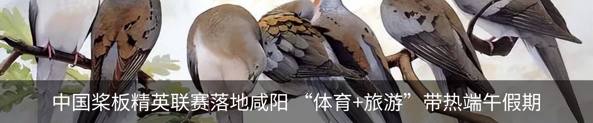 资讯动态